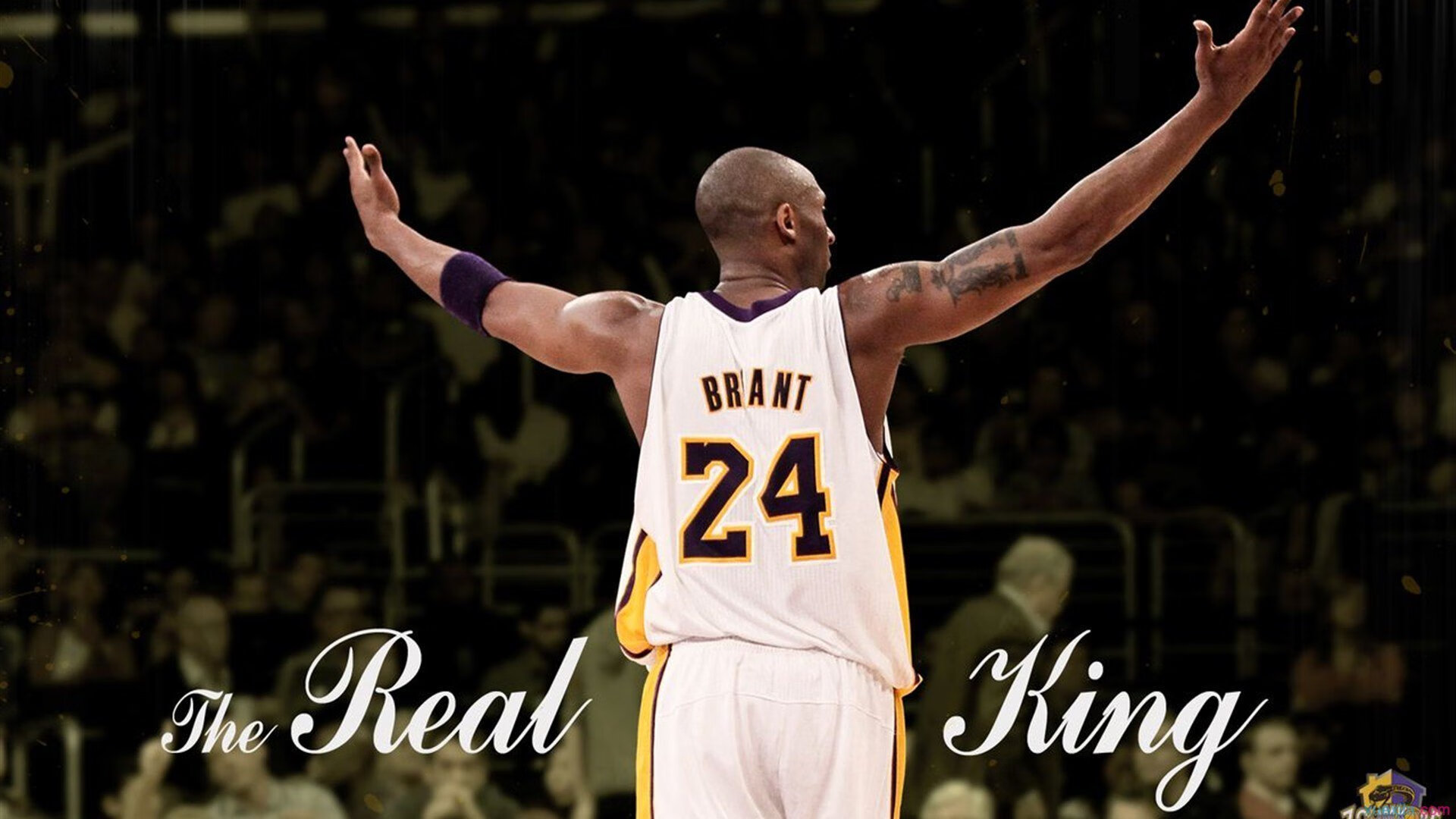 NBA发布《球员创业报告》，近七成球员有副业，nba球员的收入来源